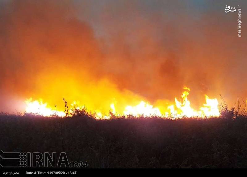 آتش‌سوزی گسترده در کوه دیل، آبریگون و سرآبننیز+فیلم