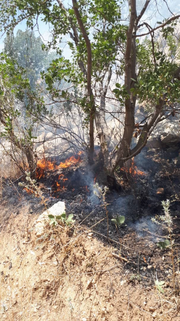 دیل در آتش+تصاویر