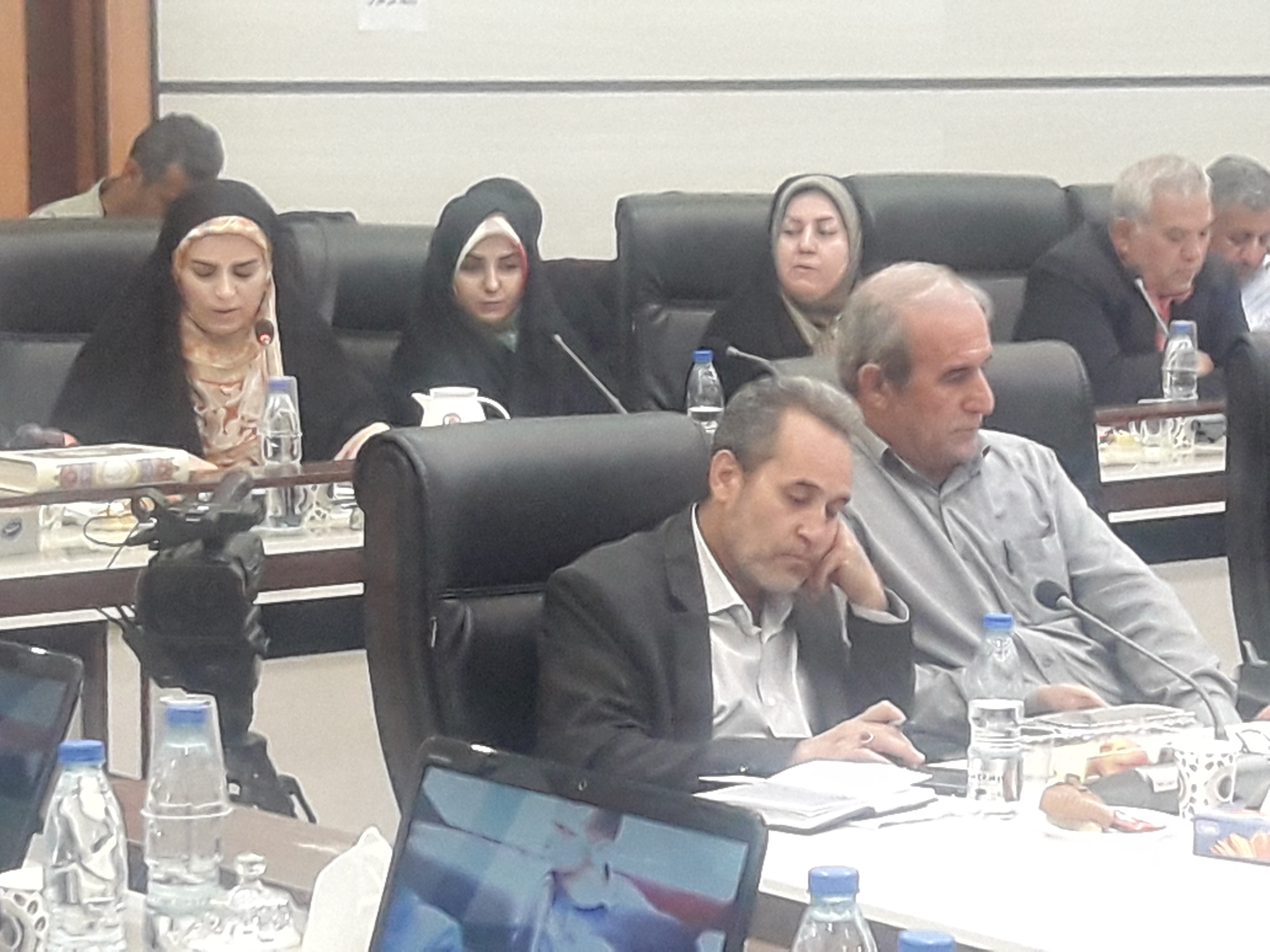 خبر خوش مشاور رئیس جمهور برای ساکنان سربیشه گچساران