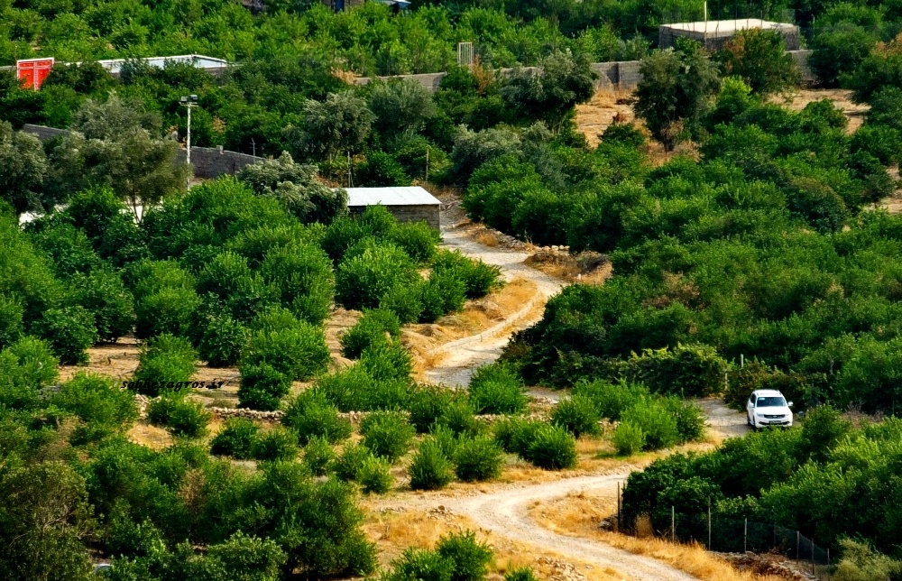 مسافرانی که در نزدیکی کلاغ‌نشین گچساران چادر زدند+فیلم