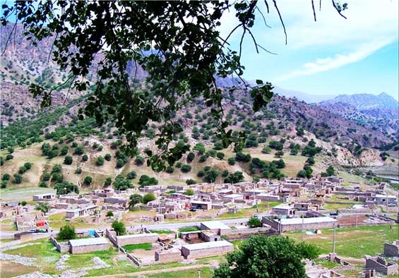 روستای شادگان ۱۵ روز است آب ندارد/تعلل یا بوروکراسی اداری قابل توجیه نیست/مردم تحت فشار هستند!