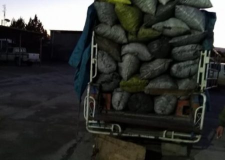 جریمه ۳ میلیاردی قاچاقچی ذغال در کهگیلویه و بویراحمد