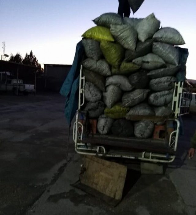 جریمه ۳ میلیاردی قاچاقچی ذغال در کهگیلویه و بویراحمد