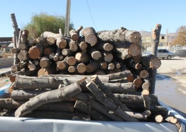 کشف چوب قاچاق در گچساران