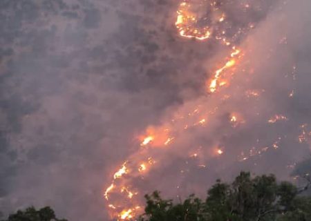 سیدناصر حسینی در قلب آتش/منتخب گچساران و باشت به مناطق درگیر آتش‌سوزی می‌رود