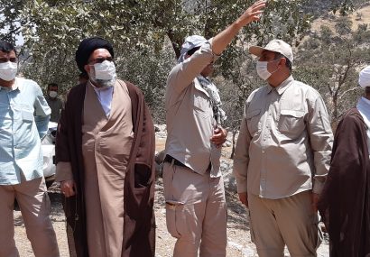 شناسایی هر چه سریع‌تر عوامل دخیل در آتش‌سوزی‌های گچساران