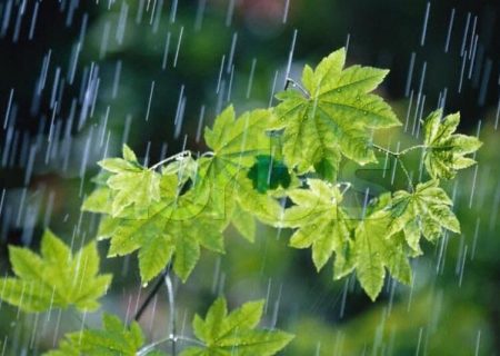 نخستین بارش های کهگیلویه و بویراحمد چه زمانی خواهد بود؟