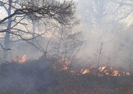 شناسایی تعدادی از عوامل آتش‌سوزی‌های گچساران