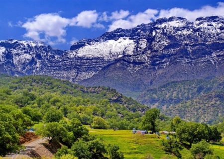 تلچگاه؛ تاج طبیعت کهگیلویه و بویراحمد+ فیلم