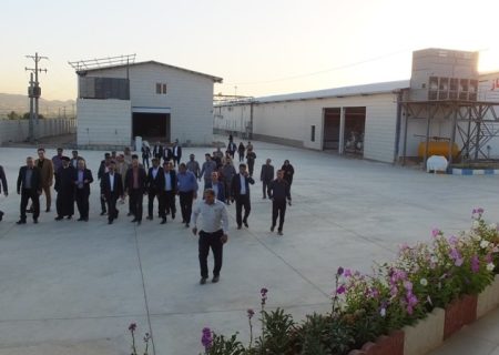 حواشی بازدید استاندار کهگیلویه و بویراحمد از پروژه‌های گچساران+ تصاویر