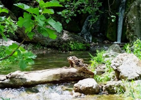 رود رونه، بهشت زیبای جنوب ایران+ تصاویر