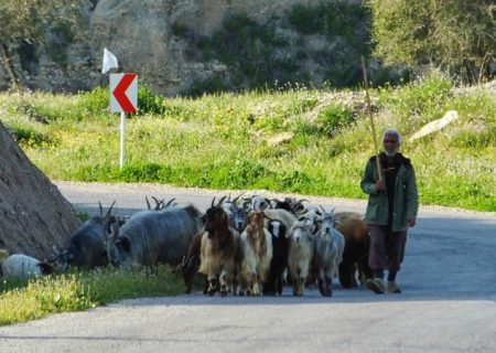 سفری رؤیایی به دهستان بی‌بی حکیمه
