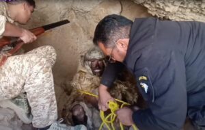 ماجرای کلیپ مرد غارنشین در کهگیلویه چیست؟