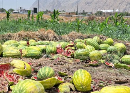درخواست عاجزانه کشاورزان گچسارانی از کامیون‌داران