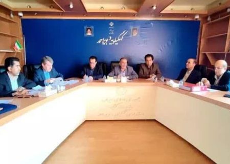 ۲۵ پروژه مولدسازی در استان شناسایی شد