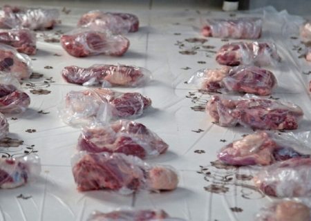 ذبح ۱۳ رأس دام در گچساران در قالب پویش نذر قربانی+ تصاویر