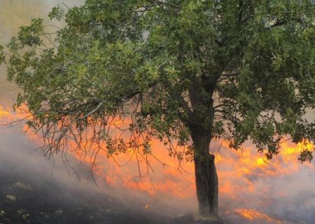 وقتی آتش می‌رقصد و مسئولان نظاره می‌کنند!