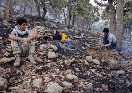 «کوه مورد» در کهگیلویه و بویراحمد آرام گرفت