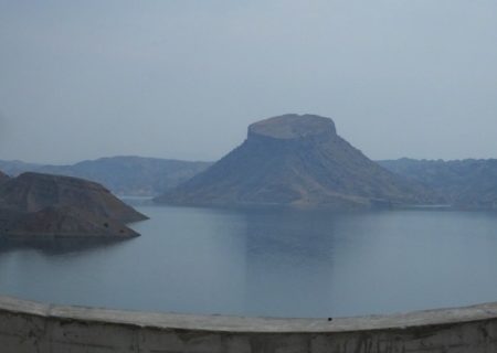 «چم‌شیر» ناجی دشت‌های تشنه جنوب+ تصاویر