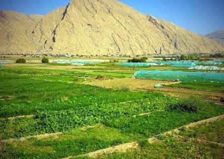 کشاورزان دشت «امامزاده جعفر» در انتظار آب پایدار+ تصاویر