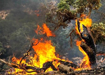 آتش‌سوزی در ارتفاعات «کوه کارد» مهار شد