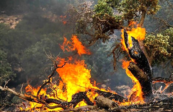 آتش‌سوزی در ارتفاعات «کوه کارد» مهار شد