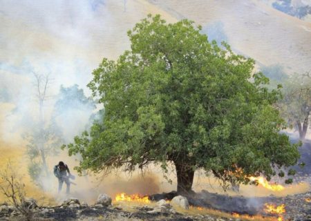 آتش‌سوزی گسترده در ارتفاعات «گناوه» گچساران