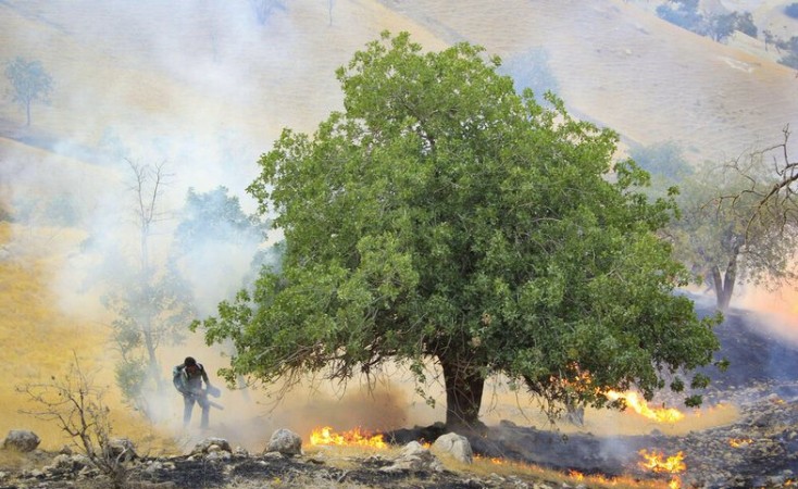 آتش‌سوزی گسترده در ارتفاعات «گناوه» گچساران