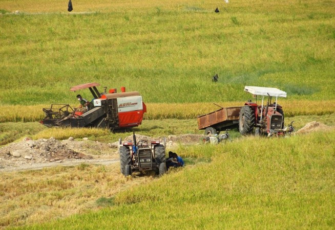 سالی پربرکت برای شالیکاران گچساران+ فیلم