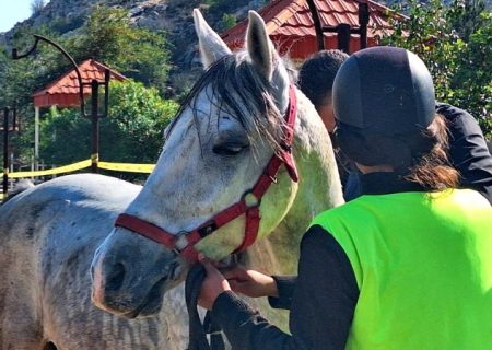 مسابقات سوارکاری استقامت در گچساران