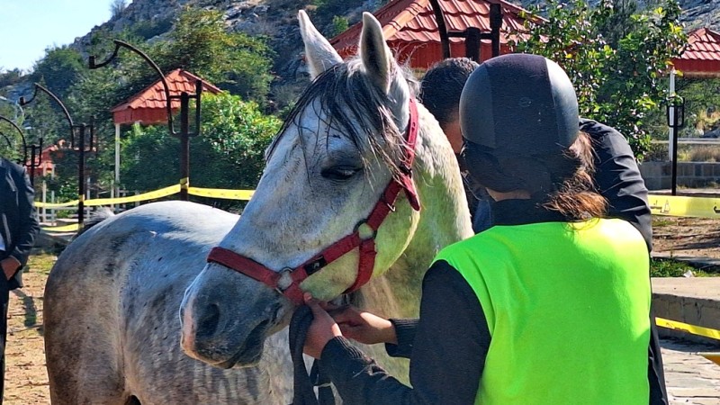 مسابقات سوارکاری استقامت در گچساران