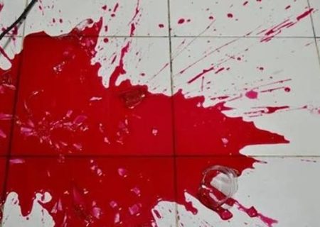 قتل هولناک مادر در یاسوج+ جزئیات