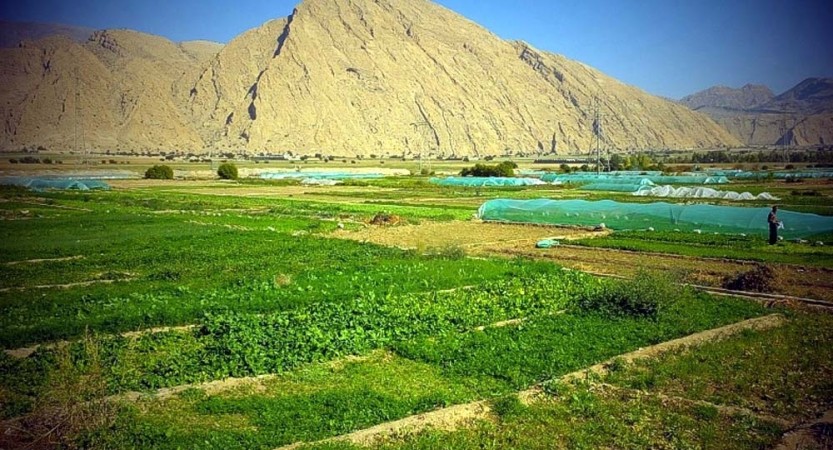 کشاورزان دشت «امامزاده جعفر» در انتظار آب پایدار+ تصاویر