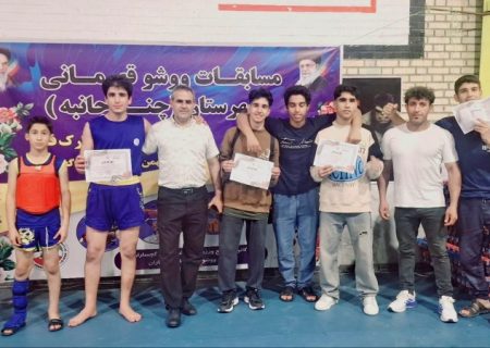 درخشش گچساران در رقابت‌های ووشو دهه فجر+ تصاویر