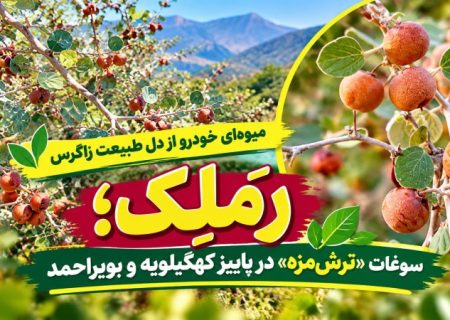 رَمَلِک؛ سوغات «ترش‌مزه» در پاییز گچساران+ تصاویر