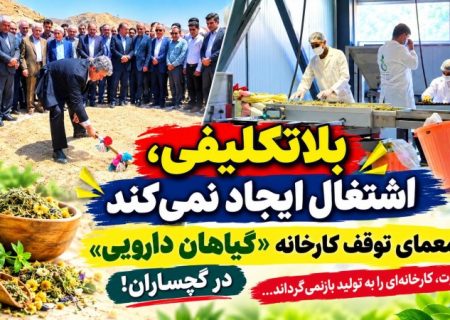معمای توقف کارخانه «گیاهان دارویی» در گچساران!+ تصاویر