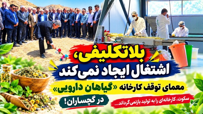 معمای توقف کارخانه «گیاهان دارویی» در گچساران!+ تصاویر